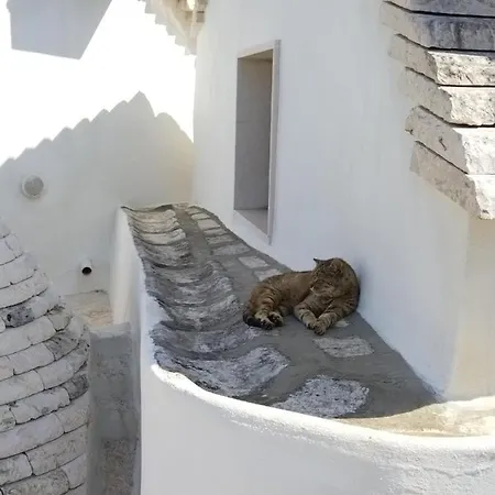 Masseria Catucci Séjour à la ferme *